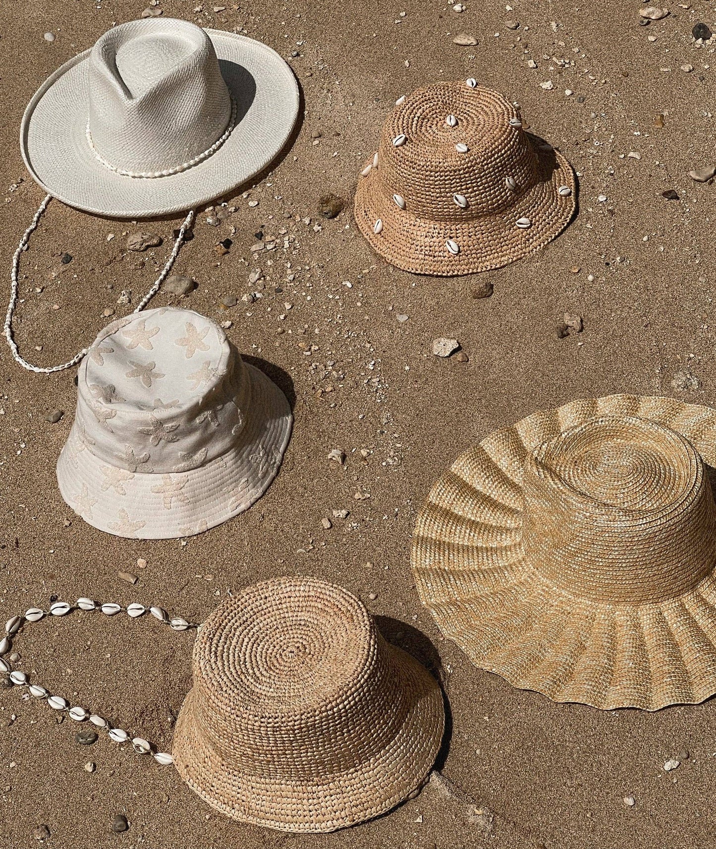 Augustine Hat Co. - Cowrie Shell - Hat Chin Strap