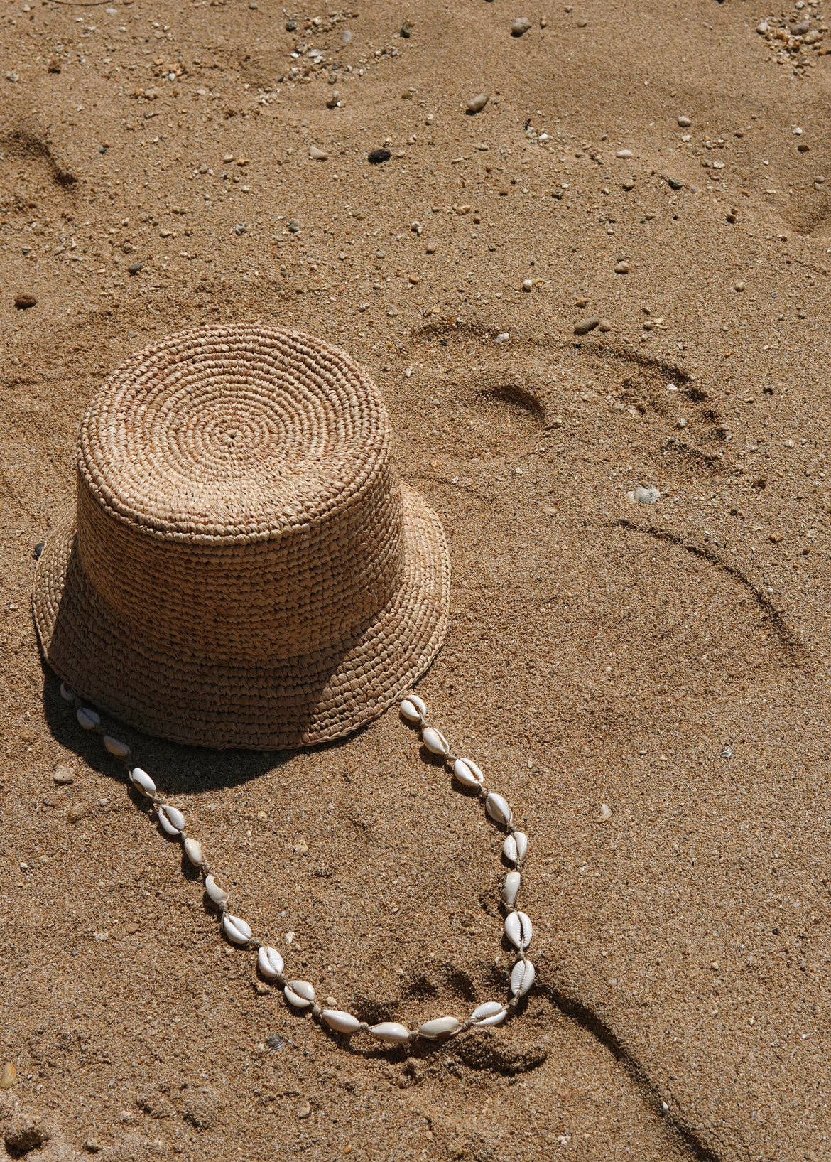 Augustine Hat Co. - Cowrie Shell - Hat Chin Strap